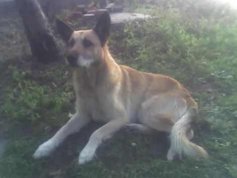 15-10-06_1701.jpg 15-10-06_1701.jpg